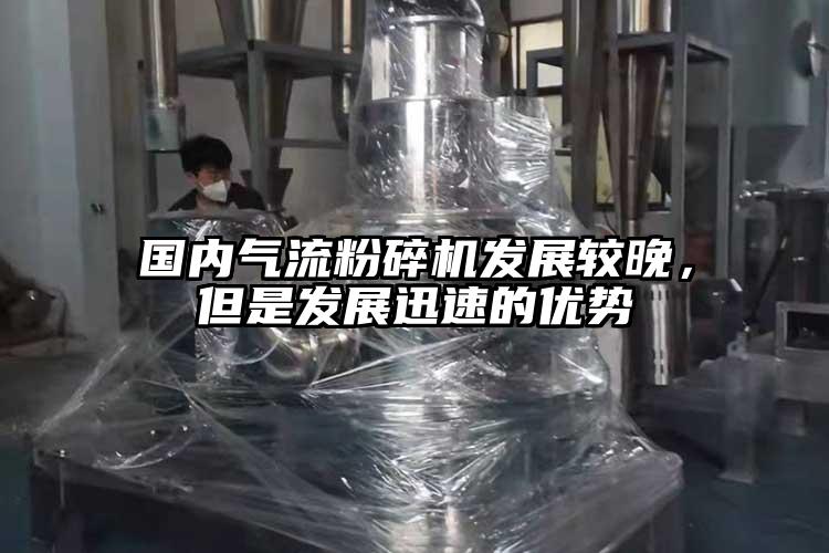 國(guó)內(nèi)氣流粉碎機(jī)發(fā)展較晚，但是發(fā)展迅速的優(yōu)勢(shì)